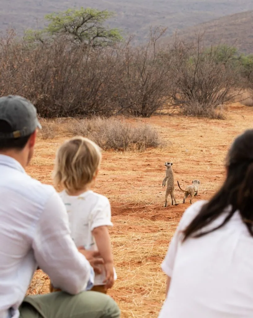 Quand partir en safari