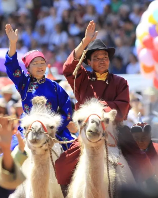 Couple sur des chameaux de bactriane auNaadam Festival de Mongolie
