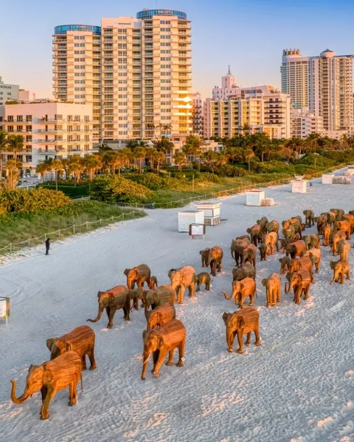 Installation éléphants art contemporain sur la plage au Art Basel Miami Beach