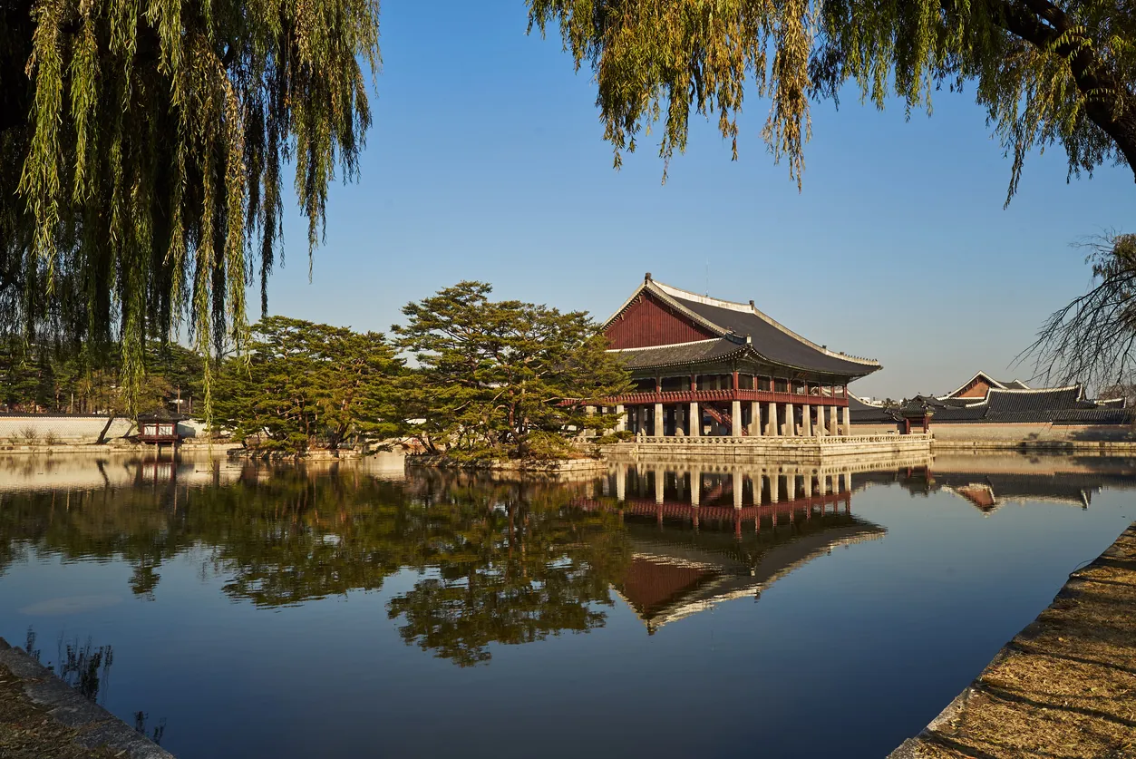 Découverte des palais et cérémonie du thé