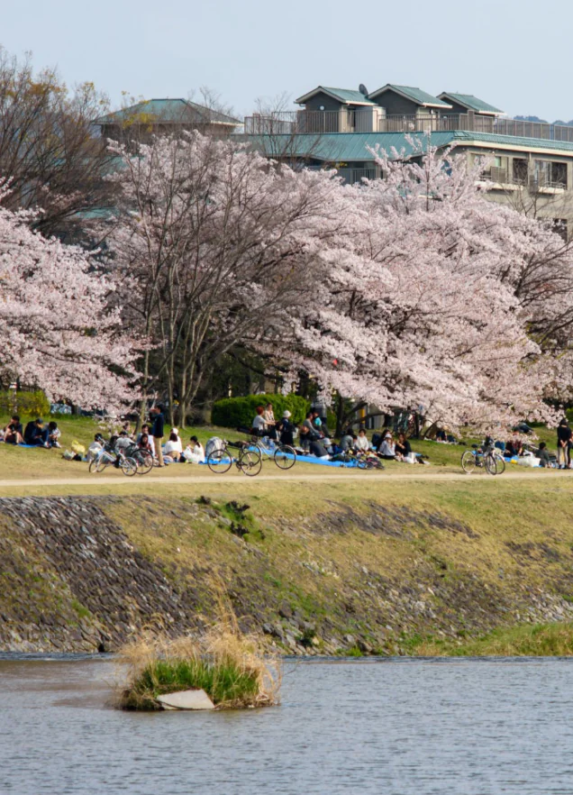  Kyoto : Saveurs, flâneries et trésors cachés