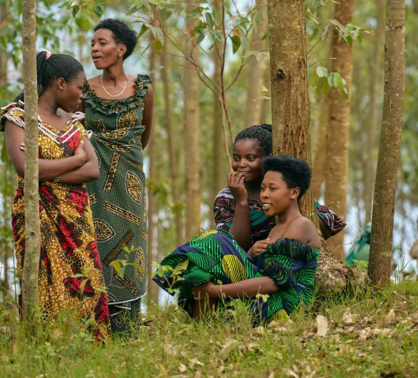 continentsinso-69860bfa02bbe-Capture d'écran 2026-02-06 164020