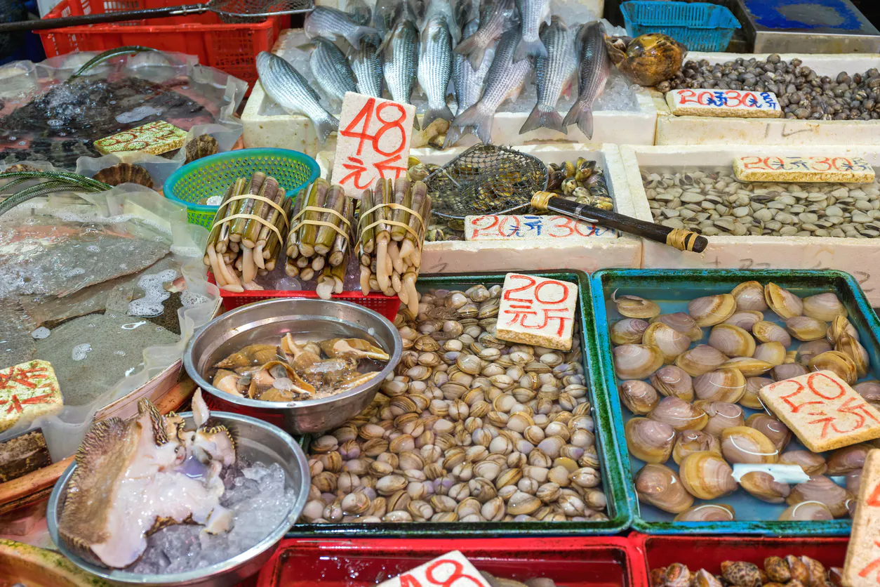 Jagalchi, le grand marché aux poissons de Busan