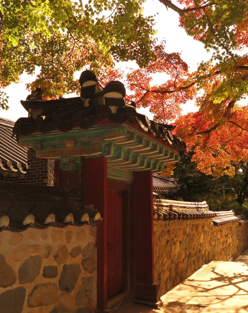 Pourquoi visiter la Corée du Sud ? 5 expériences uniques entre Séoul et Jeju