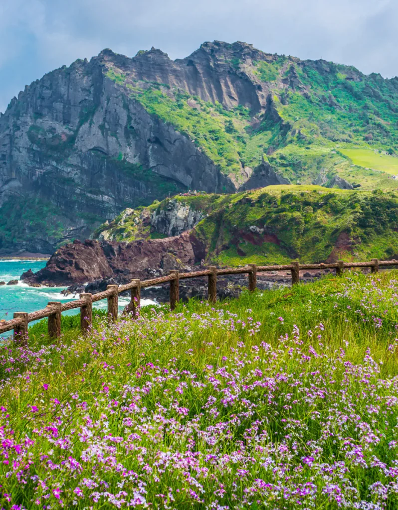 Pourquoi visiter la Corée du Sud ? 5 expériences uniques entre Séoul et Jeju