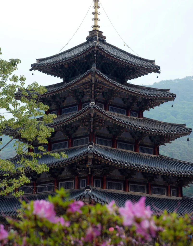 Pourquoi visiter la Corée du Sud ? 5 expériences uniques entre Séoul et Jeju