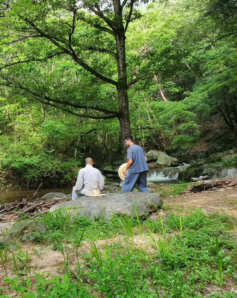 Pourquoi visiter la Corée du Sud ? 5 expériences uniques entre Séoul et Jeju