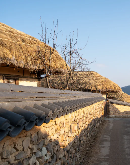 continentsinso-69a1a801e2486-Capture d'écran 2026-02-27 151938