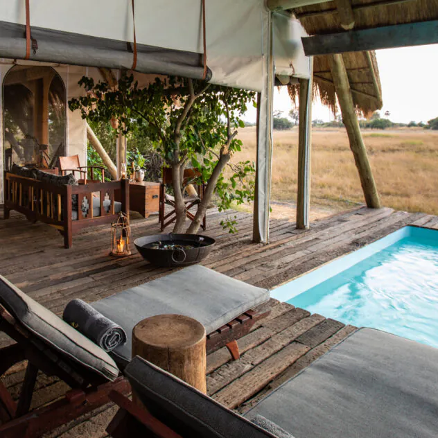 Safari d’exception, l’expérience Great Plains dans l’Okavango