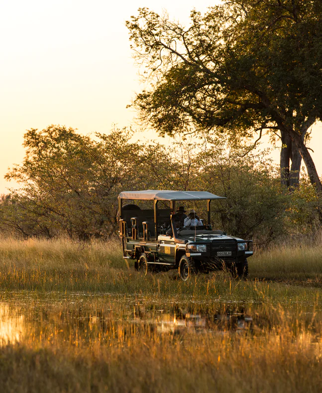 Selinda - Premiers safaris dans la brousse 