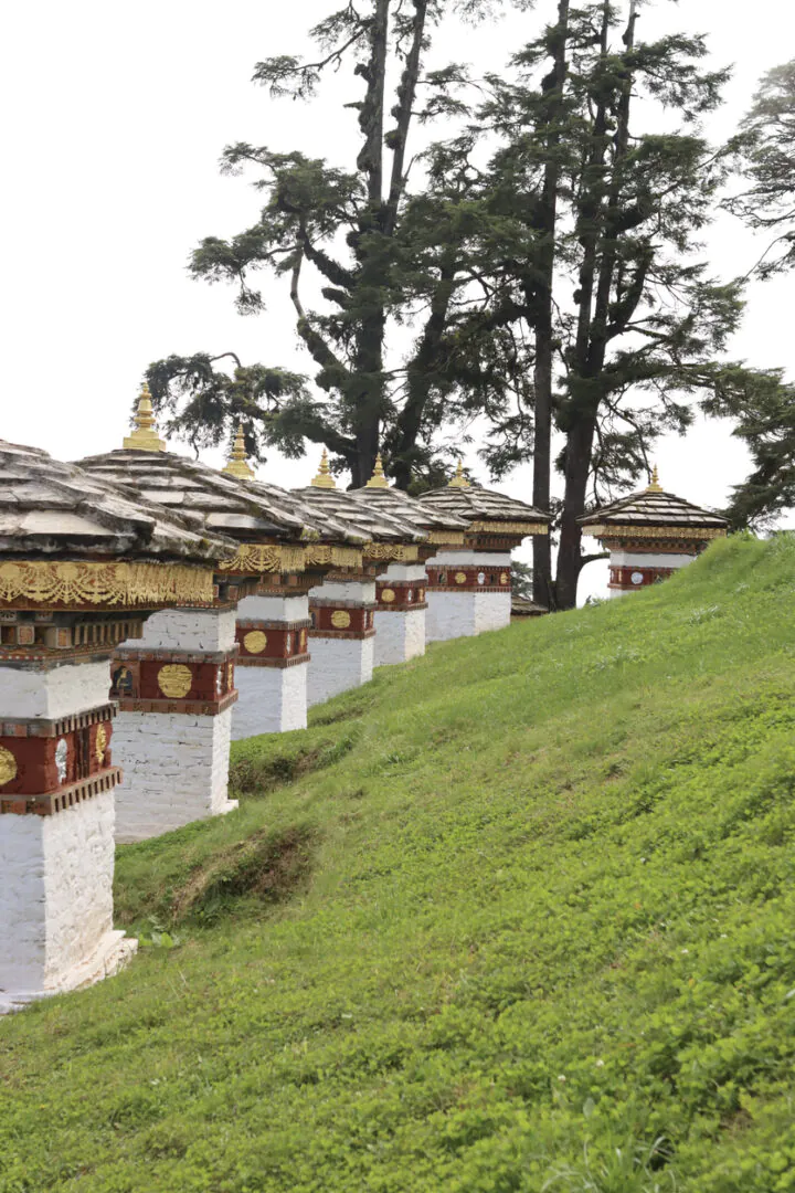 Thimphu - Gangtey - Au seuil de Phobjikha 