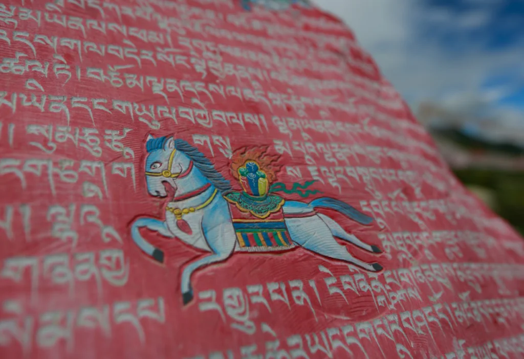 Marion Chaygneaud-Dupuy, comprendre l’Himalaya de l’intérieur