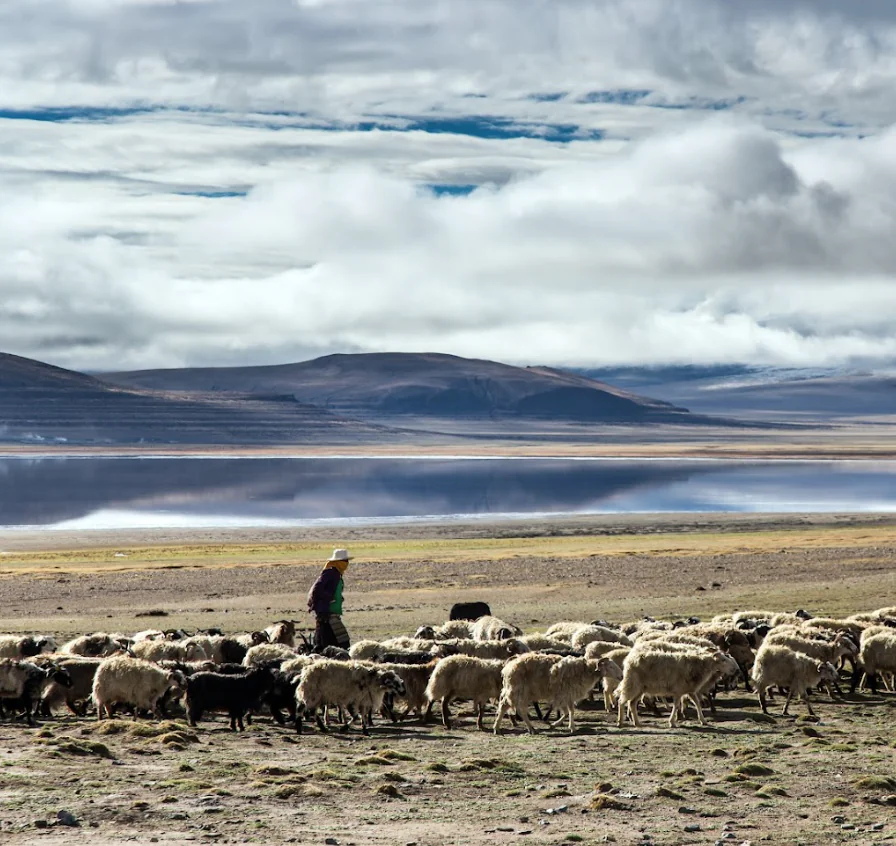 Marion Chaygneaud-Dupuy, comprendre l’Himalaya de l’intérieur