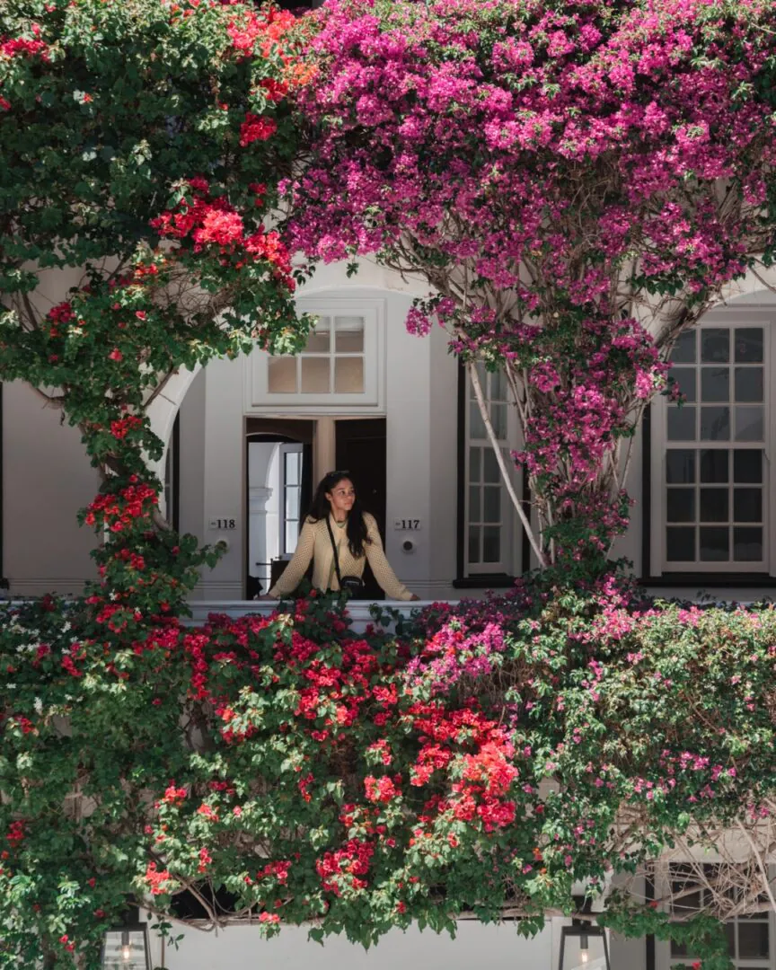 Cape Town – entre océan et reliefs