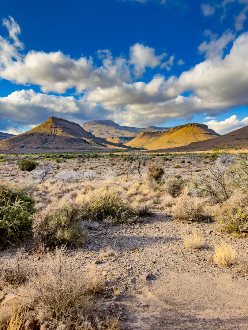 Karoo – Matjiesfontein – Kimberley