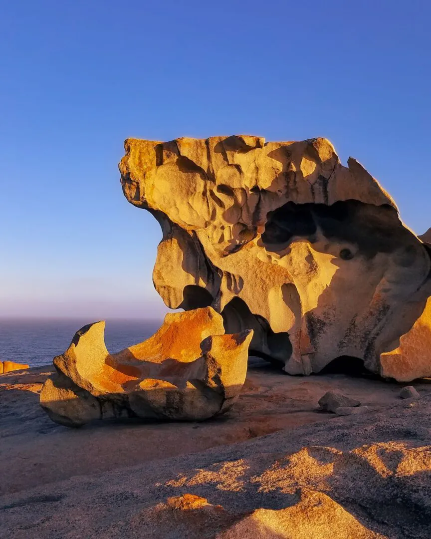 Kangaroo Island – faune et éléments