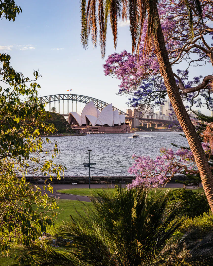 Sydney – entre pierre, baie et jardins