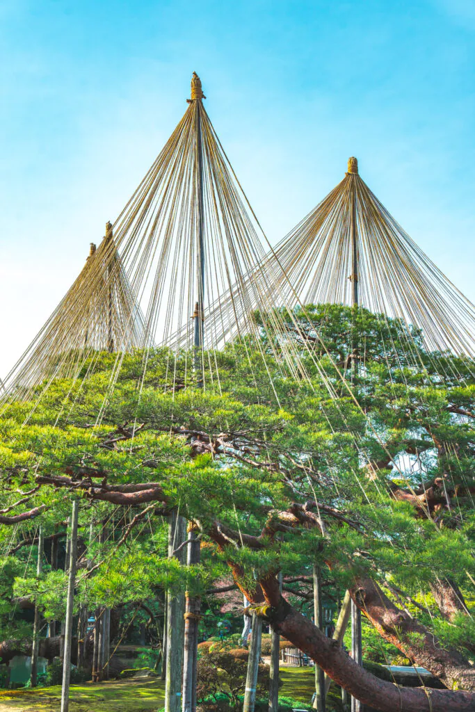 Paperjam ouvre un nouveau territoire : le voyage