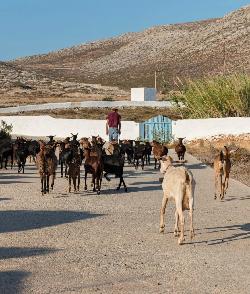 Où partir cet été sans aller loin, entre nature, design et grand air ?