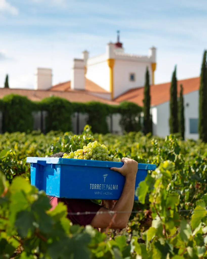 Où partir cet été sans aller loin, entre nature, design et grand air ?