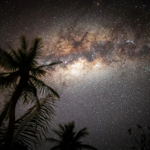 Chez Havaiki : cuisiner à la polynésienne