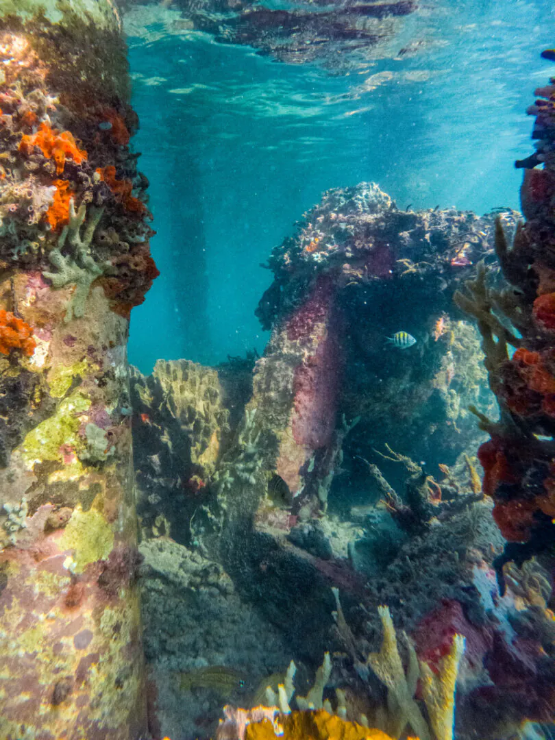 Providencia – Donner du sens