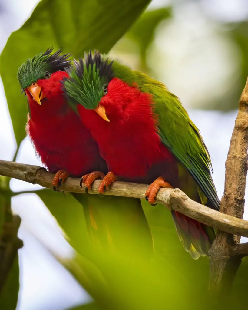 5 bonnes raisons de voyager aux Îles Australes