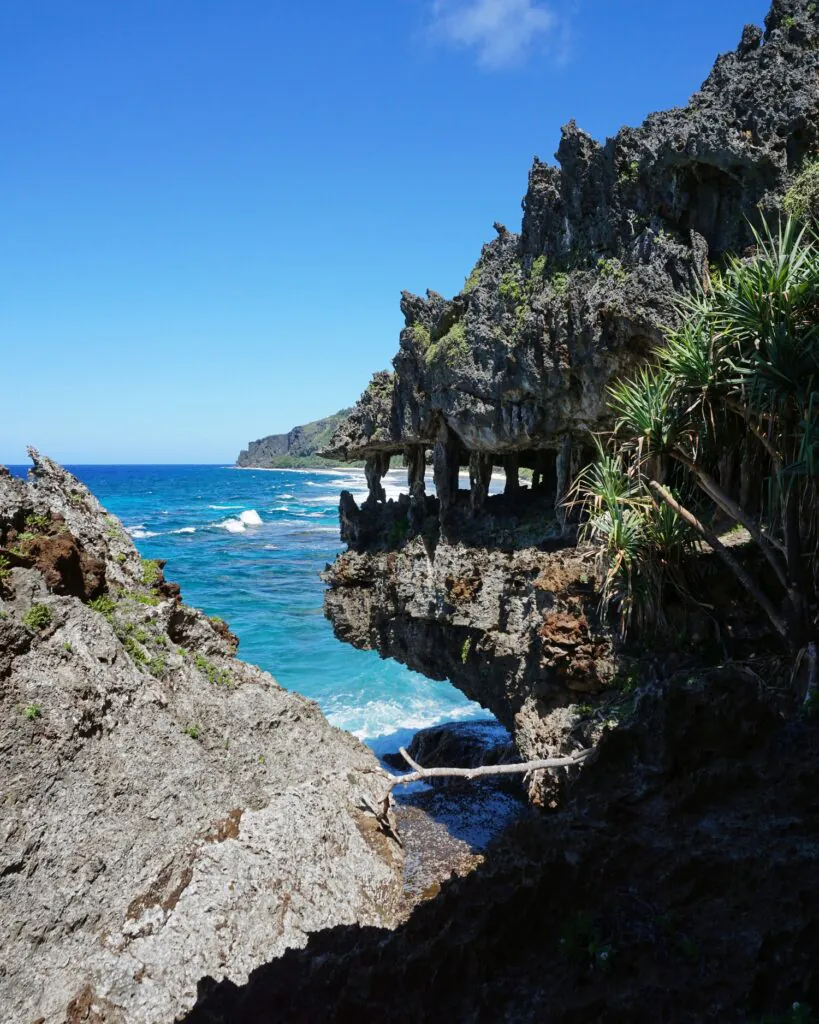 5 bonnes raisons de voyager aux Îles Australes