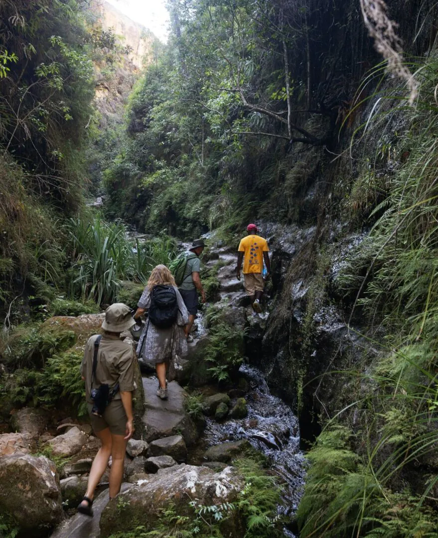 Isalo - Canyons et piscines naturelles