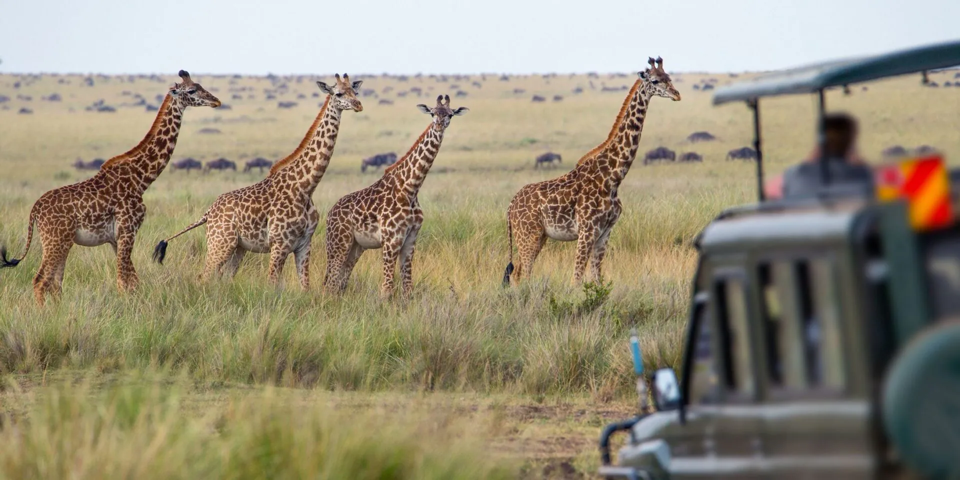 Tanzanie