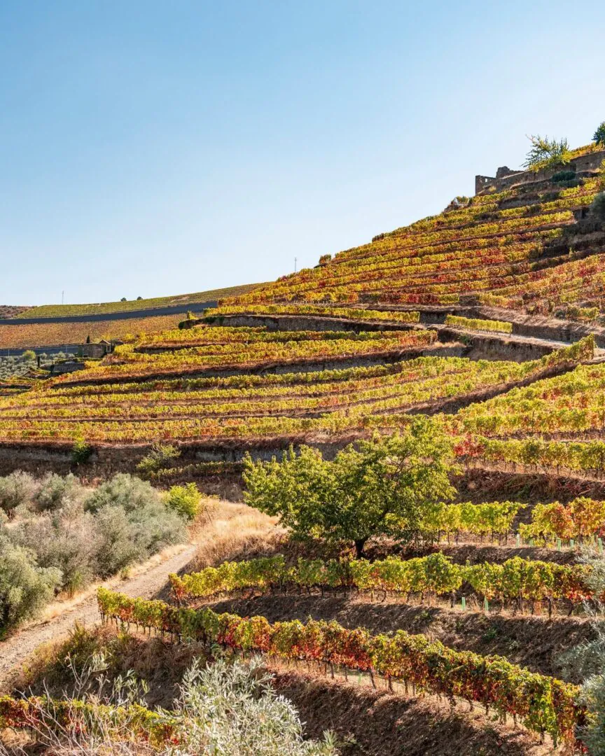 Douro - Les secrets de la vallée