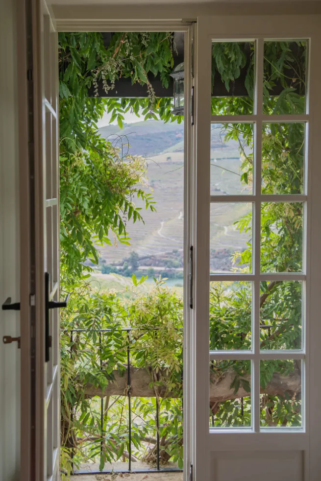 Douro - Dernières lumières sur les vignobles