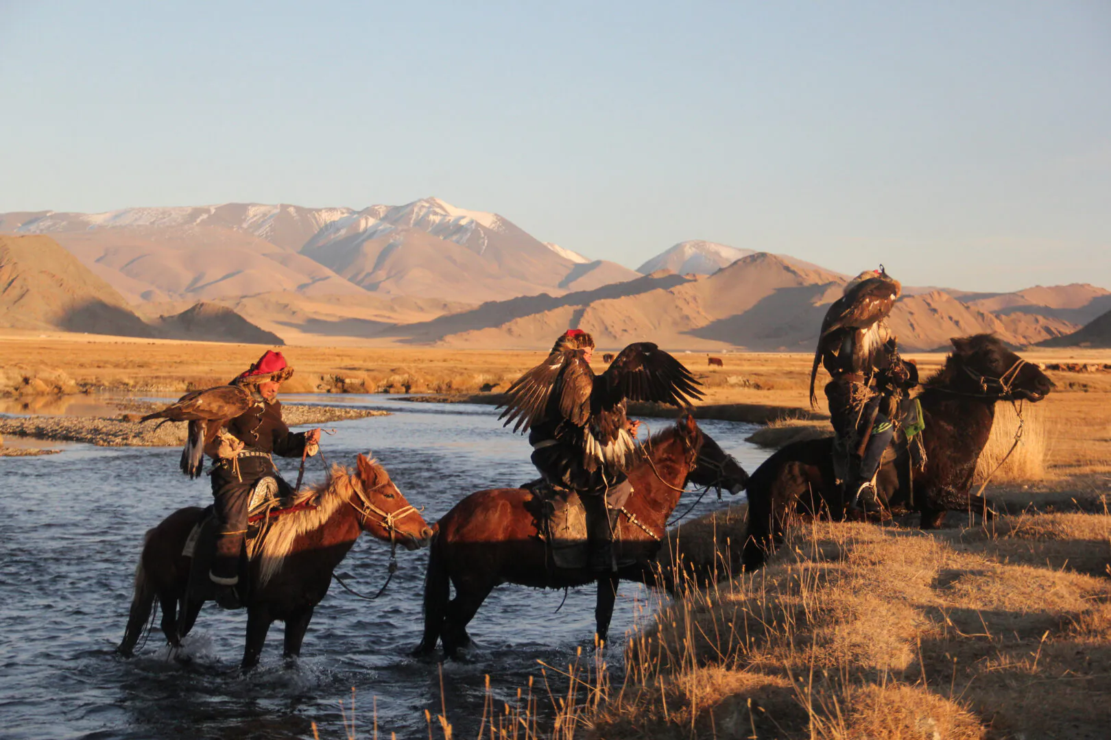 Mongolie