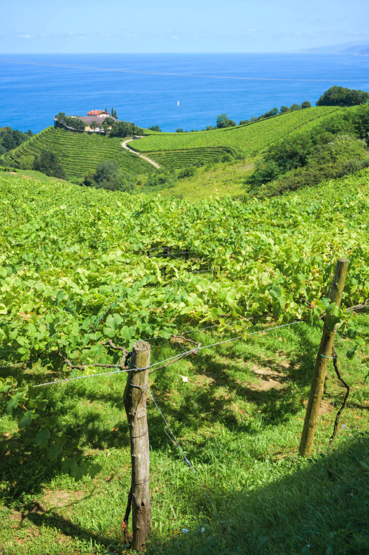 Getaria et l’arrière-pays basque - Le territoire des producteurs
