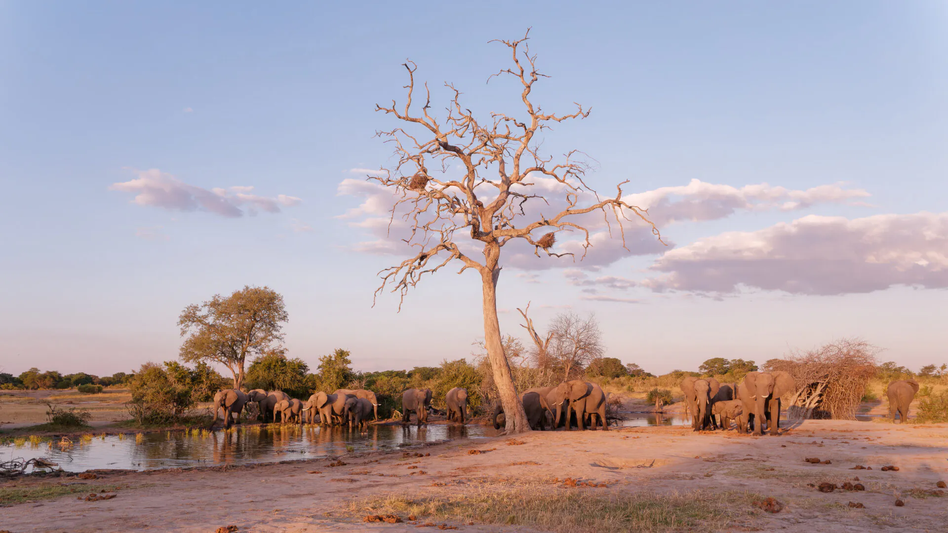 Zimbabwe