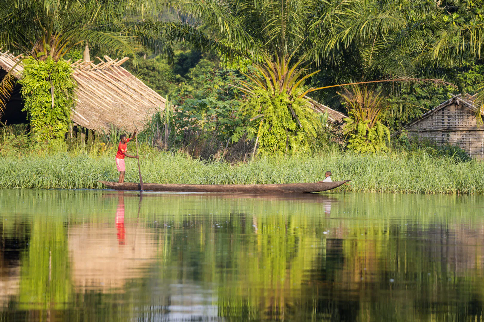 Au fil du fleuve Congo, entre royaumes oubliés et forêts vivantes