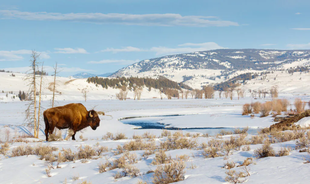 Où partir en hiver ? Nos 10 destinations préférées à la neige
