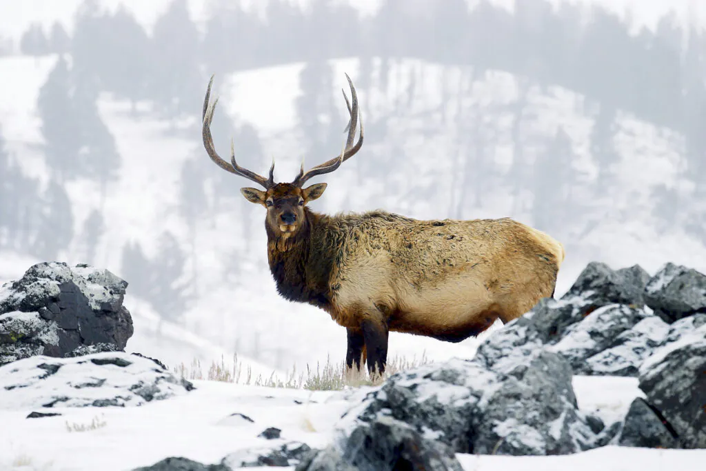 Où partir en hiver ? Nos 10 destinations préférées à la neige