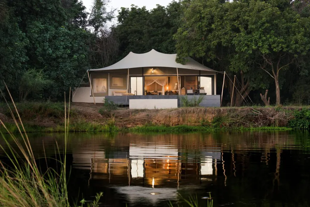 Premier safari en Zambie : comment construire son voyage ?