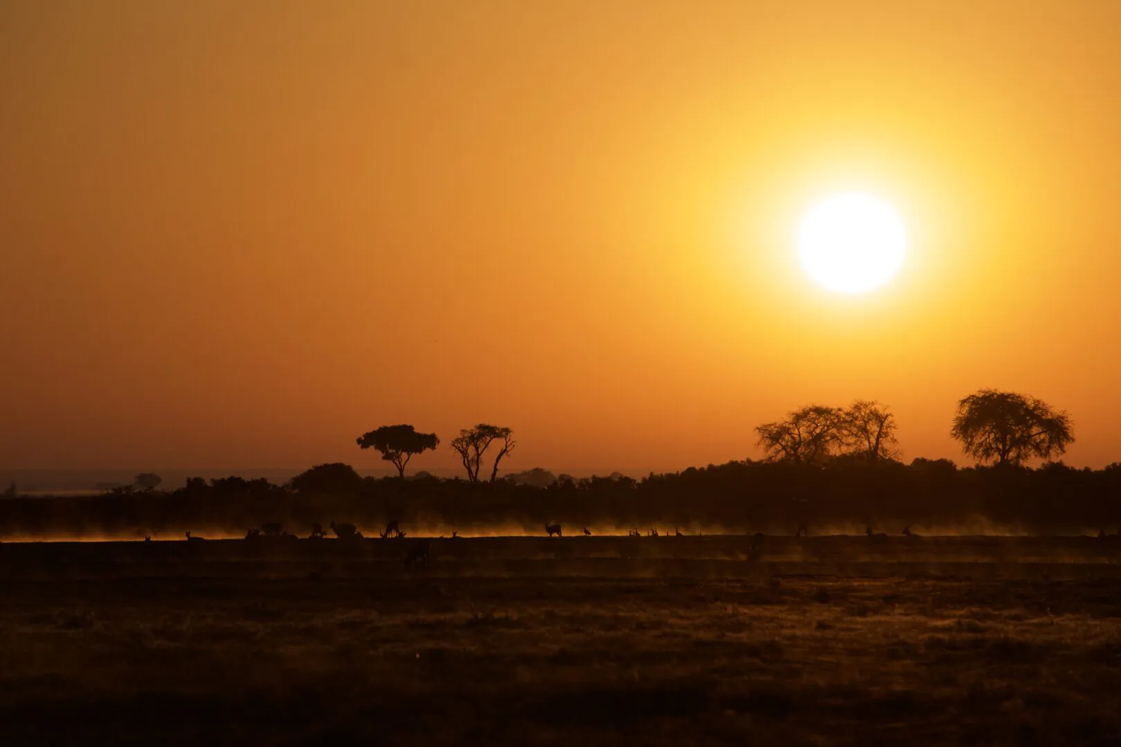 Lever de soleil sur les Busanga Plains & brunch en pleine brousse