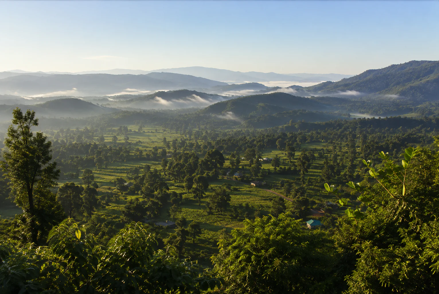 Sur les pas du peuple de la forêt Batwa