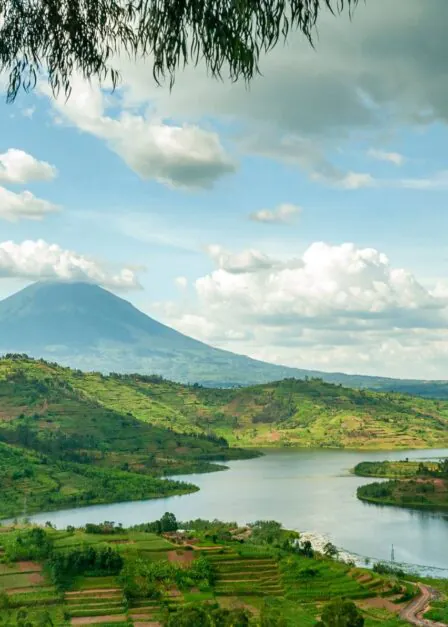 Landscape of the Virunga Mountains in Rwanda