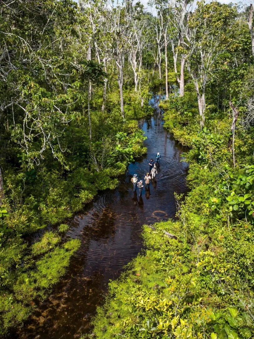 Lango : les pieds dans le baï