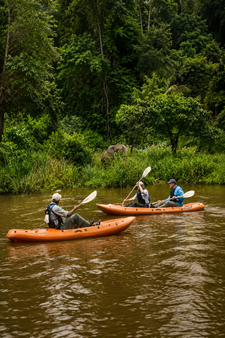 Mboko : Odzala depuis la rivière