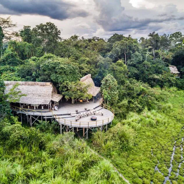Immersion forestière d’exception au Congo