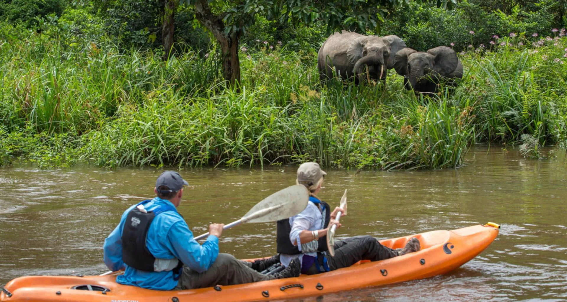 Kayak et croisière sur la Lekoli : le roman des rivières