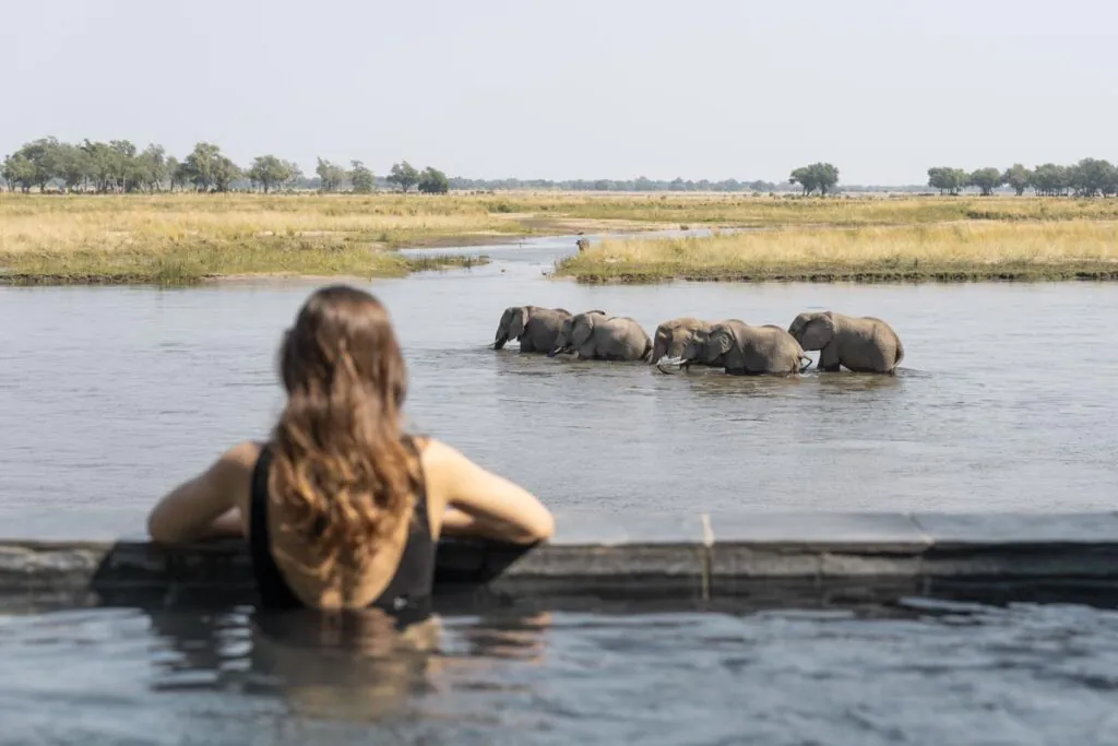 Premier safari en Zambie : comment construire son voyage ?