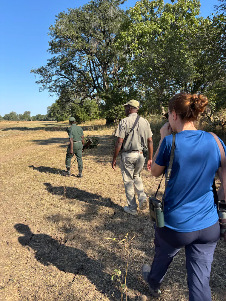 South Luangwa - Le safari quitte les pistes  