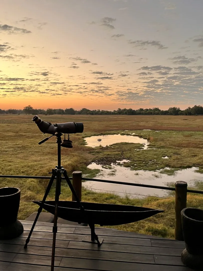 South Luangwa - Jusqu’au cœur de la nuit 
