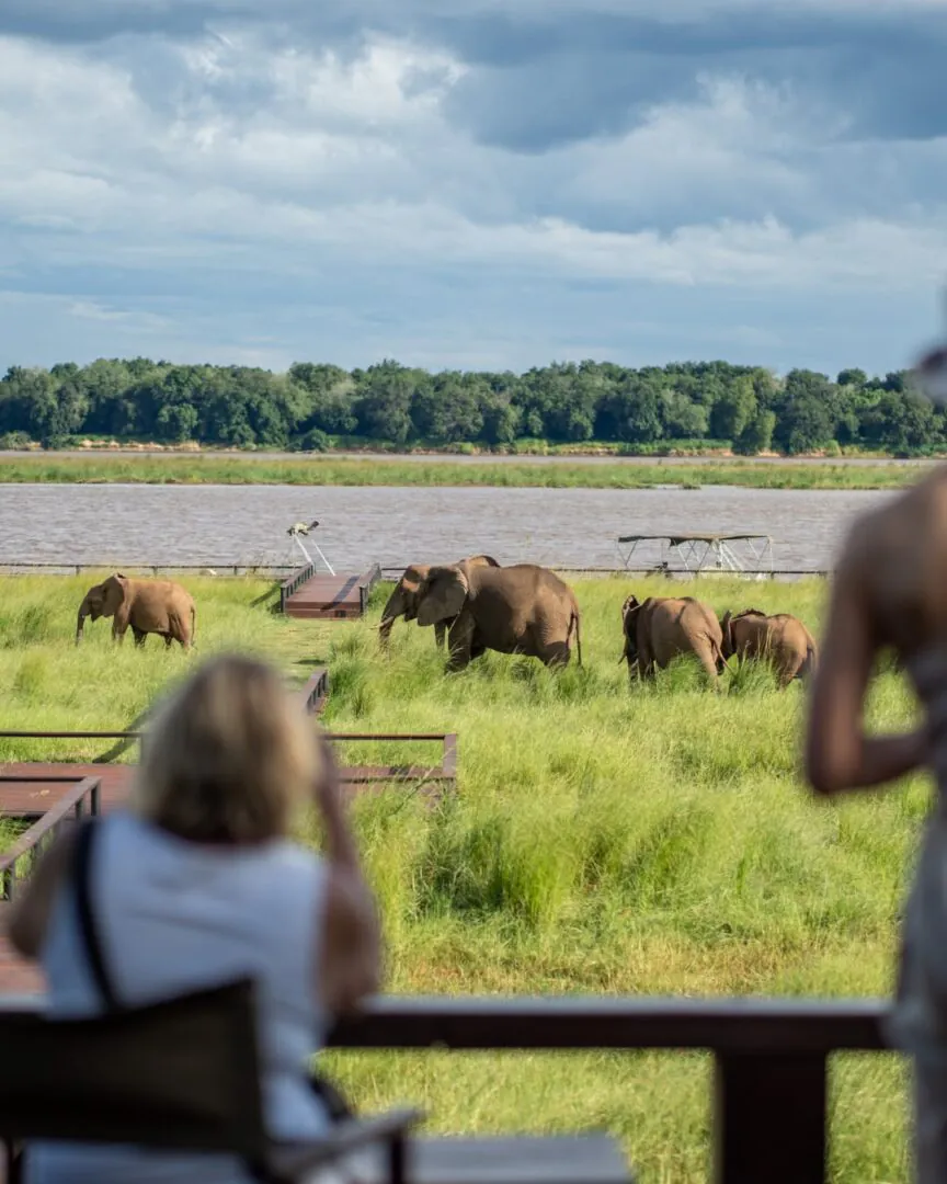 Livingstone - Lower Zambezi : le safari au fil de l’eau 